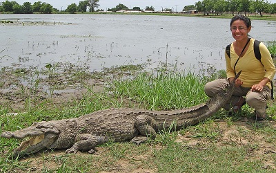 Paga Crocodile