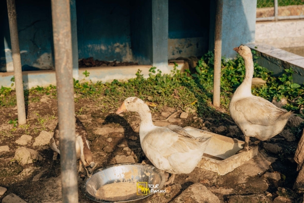 Kumasi Zoo